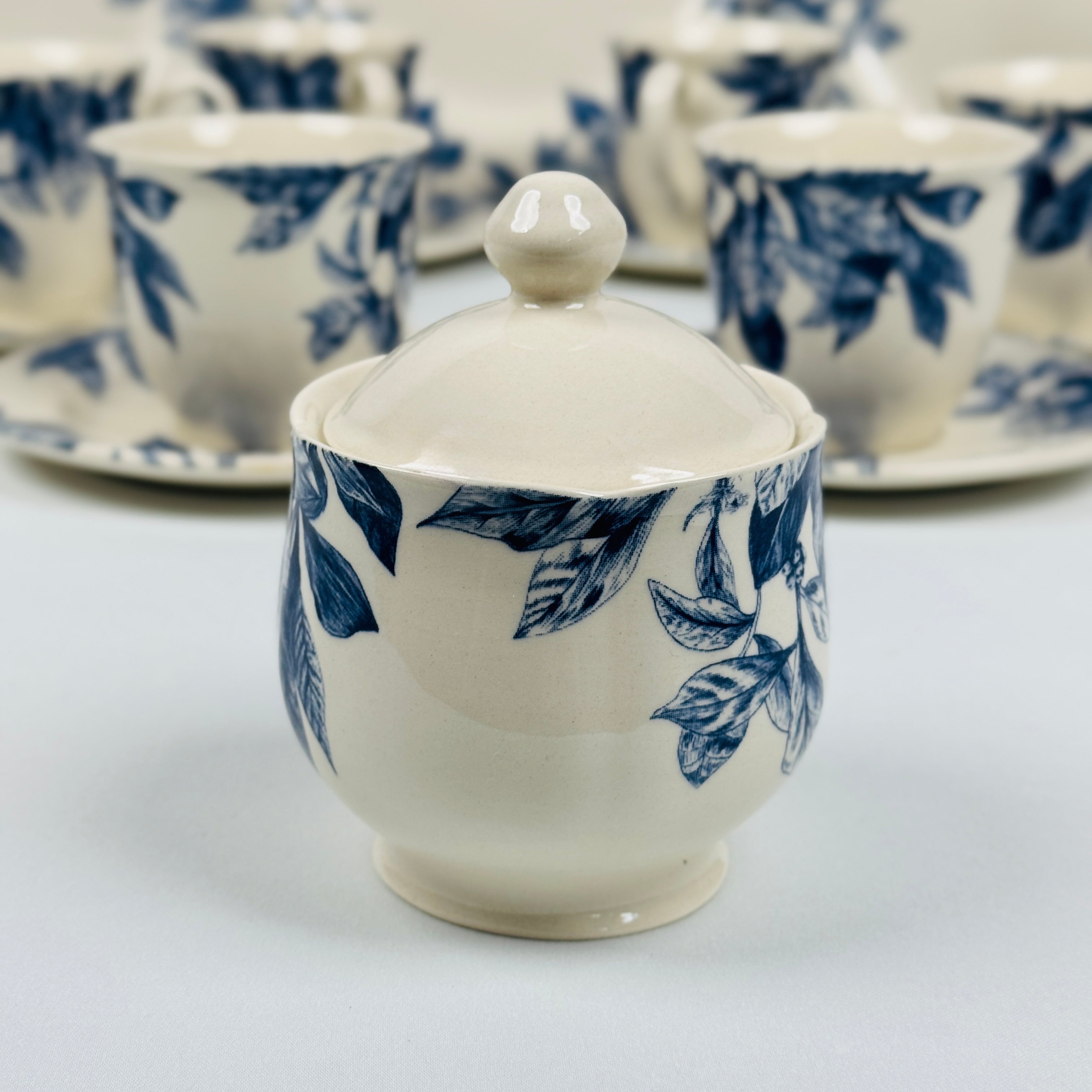Botanical Leaf Blue Dinner Set - Claytan