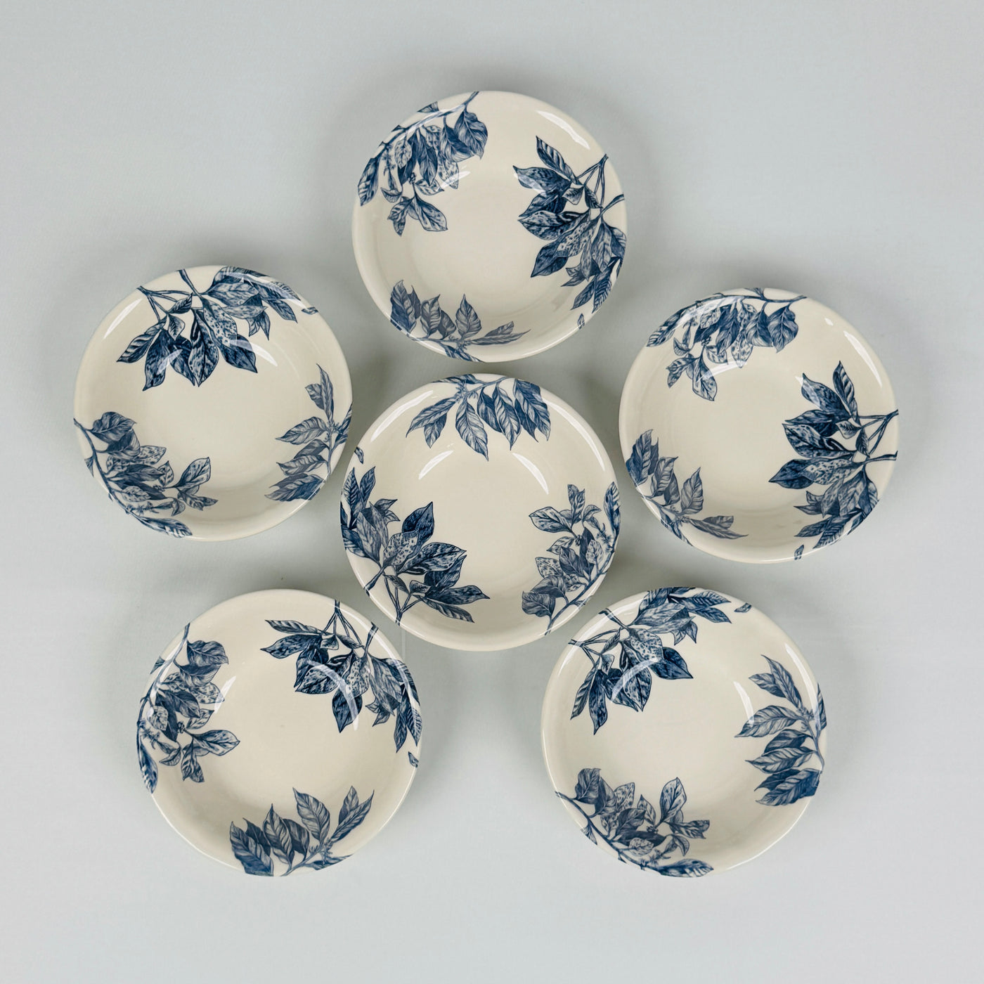 Botanical Leaf Blue Dinner Set - Claytan