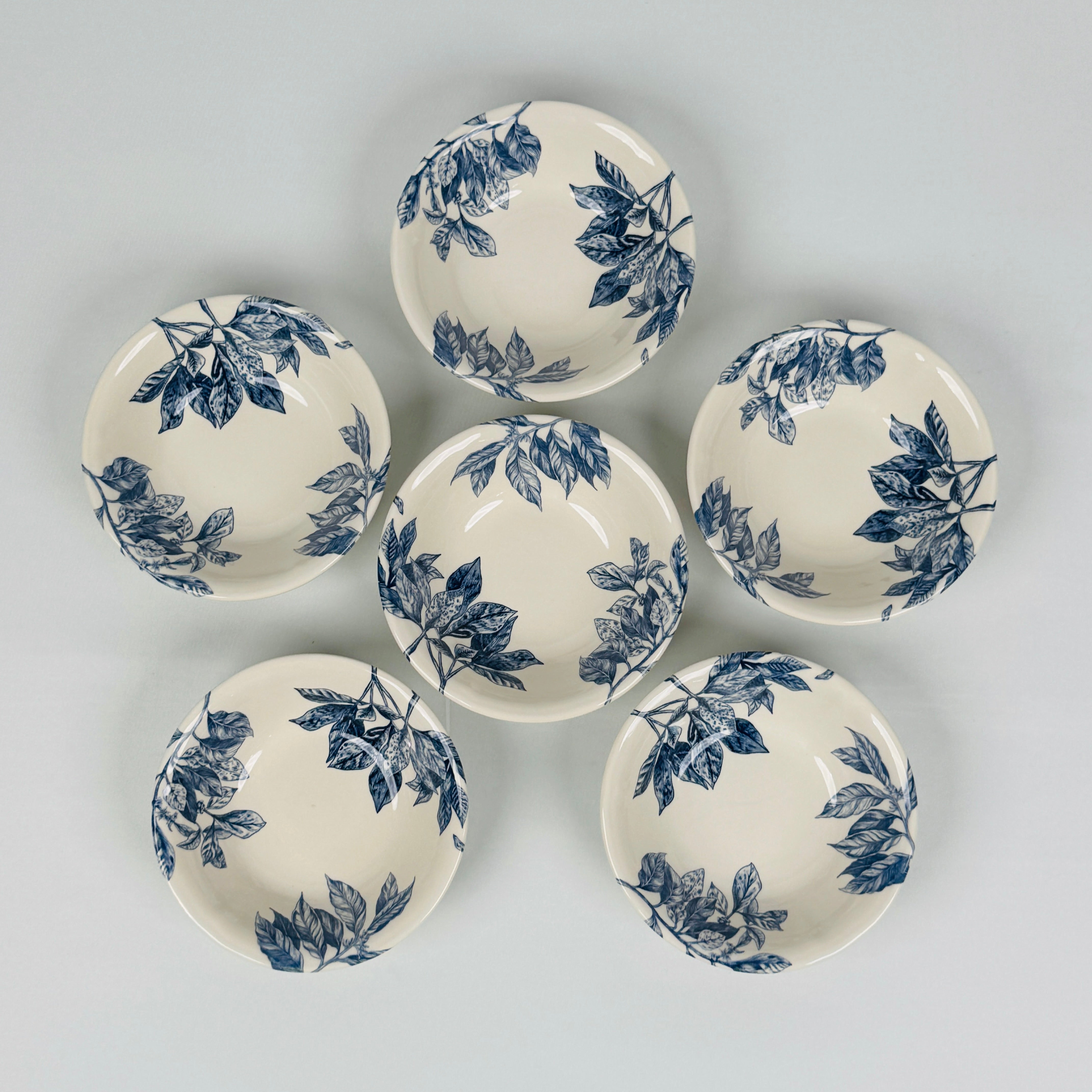 Botanical Leaf Blue Dinner Set - Claytan