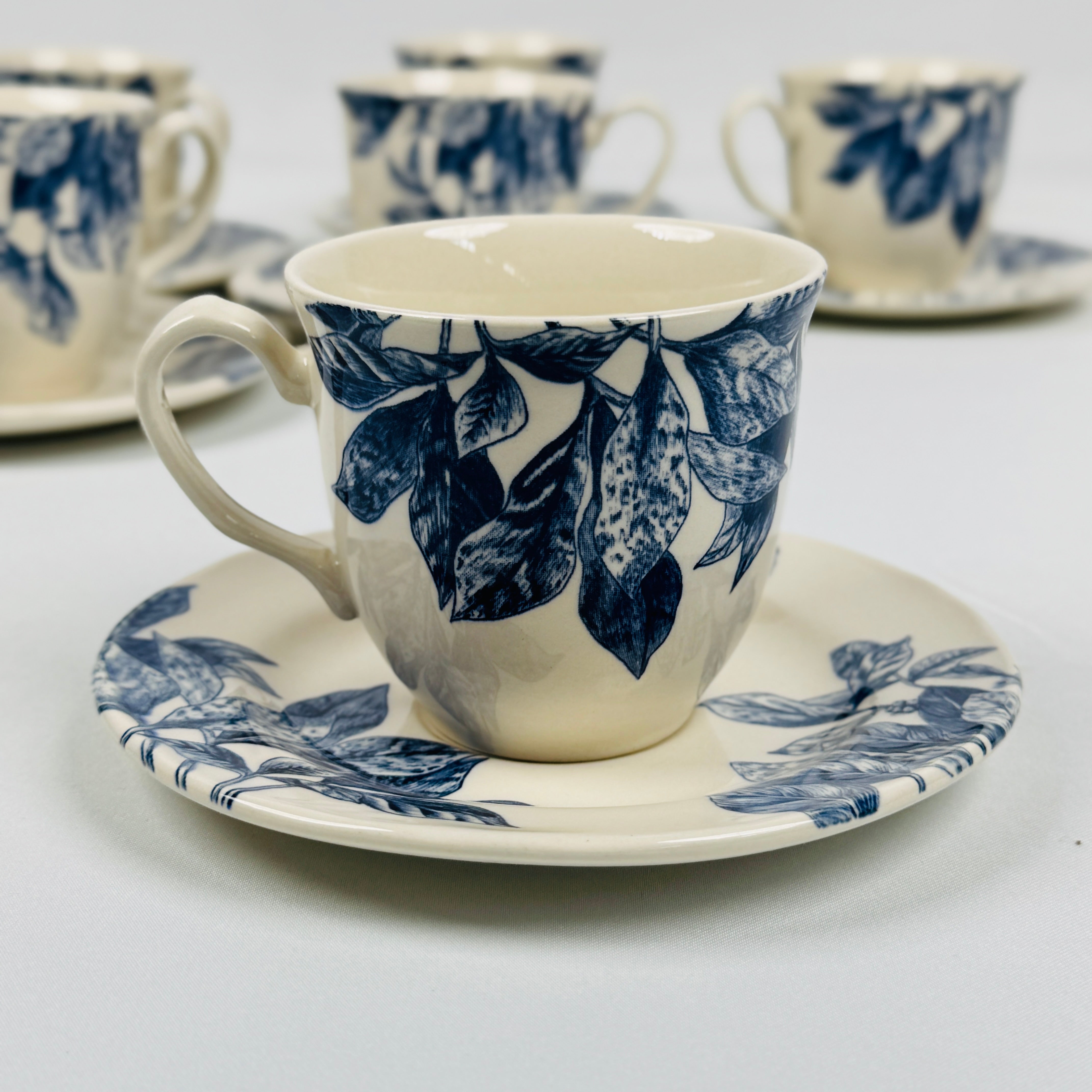 Botanical Leaf Blue Dinner Set - Claytan