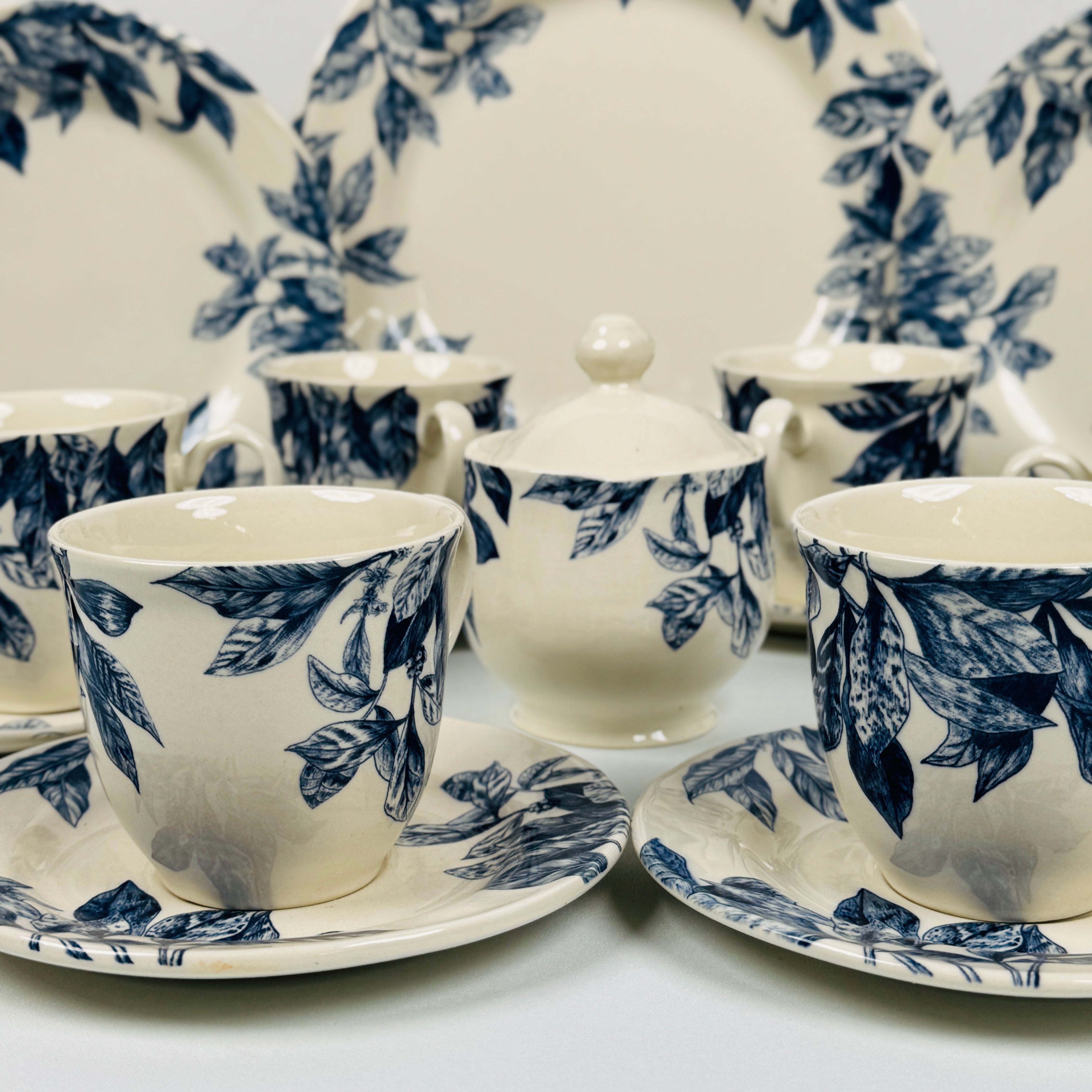 Botanical Leaf Blue Dinner Set - Claytan