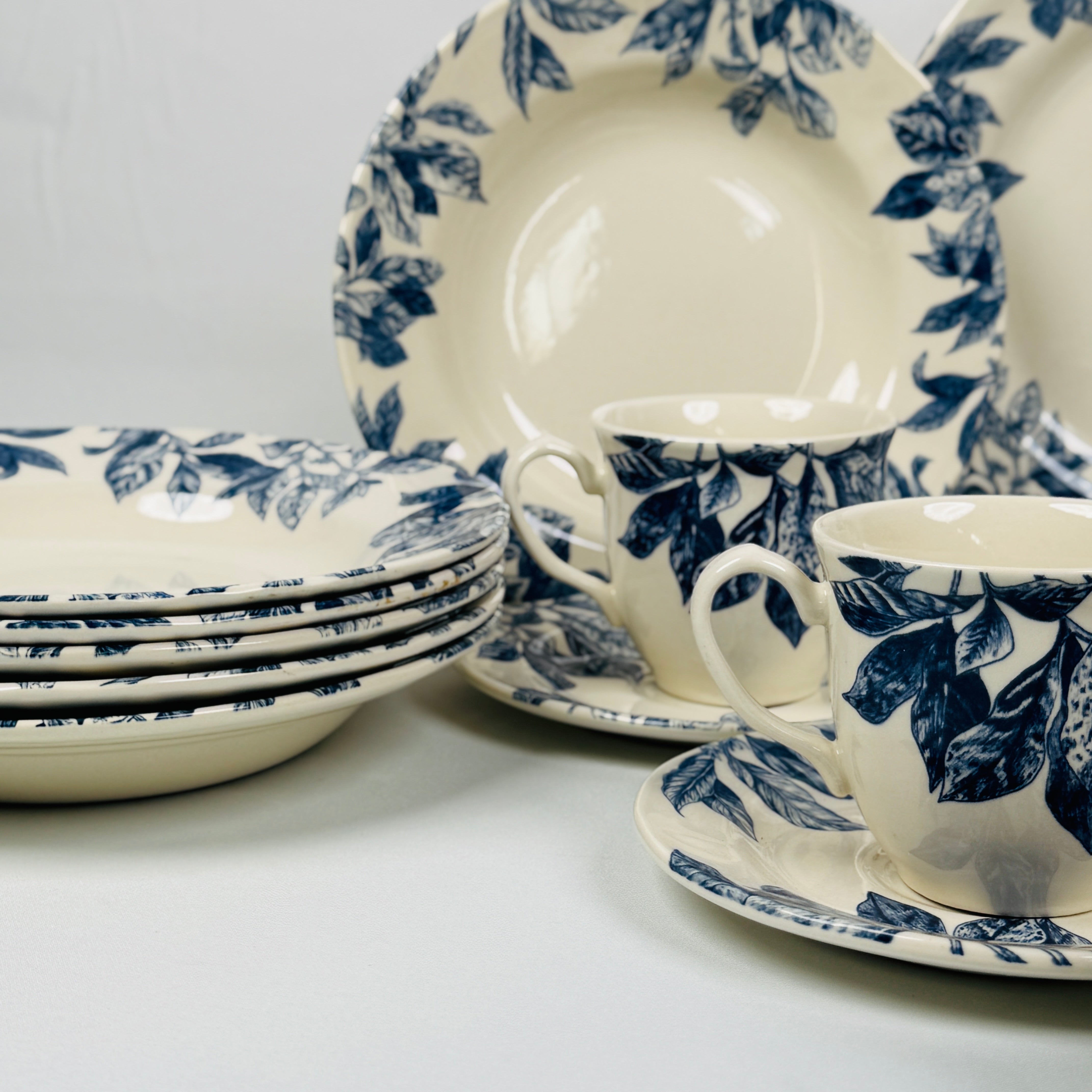 Botanical Leaf Blue Dinner Set - Claytan