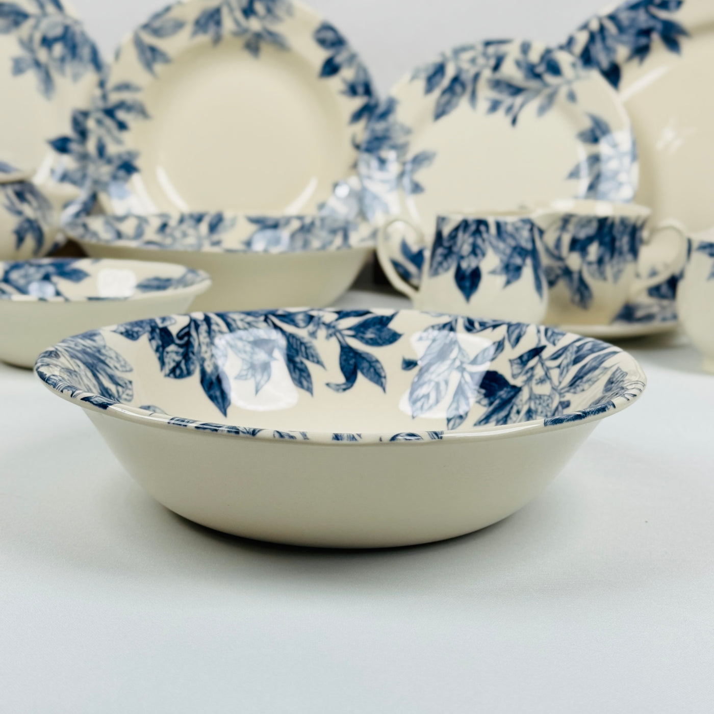 Botanical Leaf Blue Dinner Set - Claytan