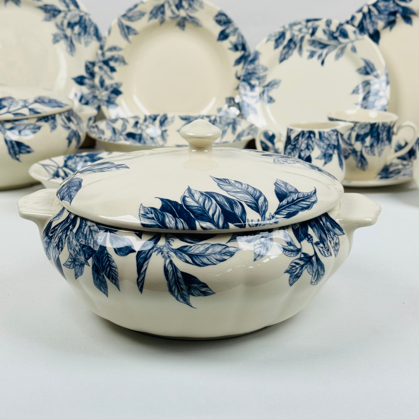 Botanical Leaf Blue Dinner Set - Claytan