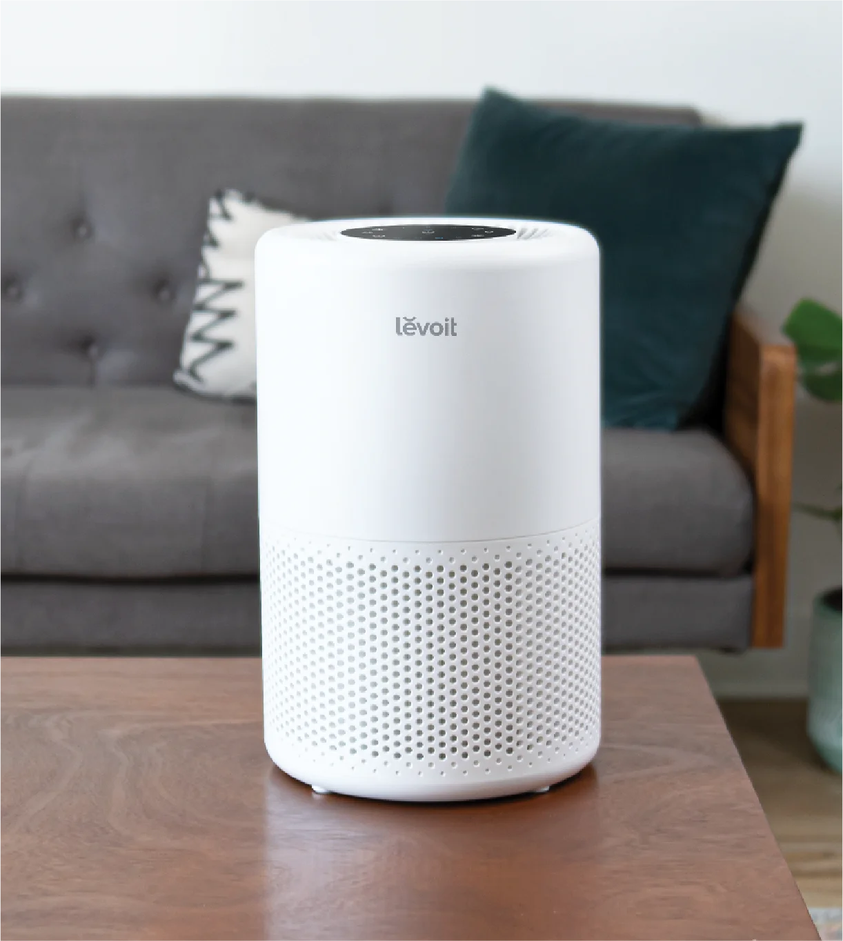 LEVOIT Core 200S Smart True HEPA Air Purifier
