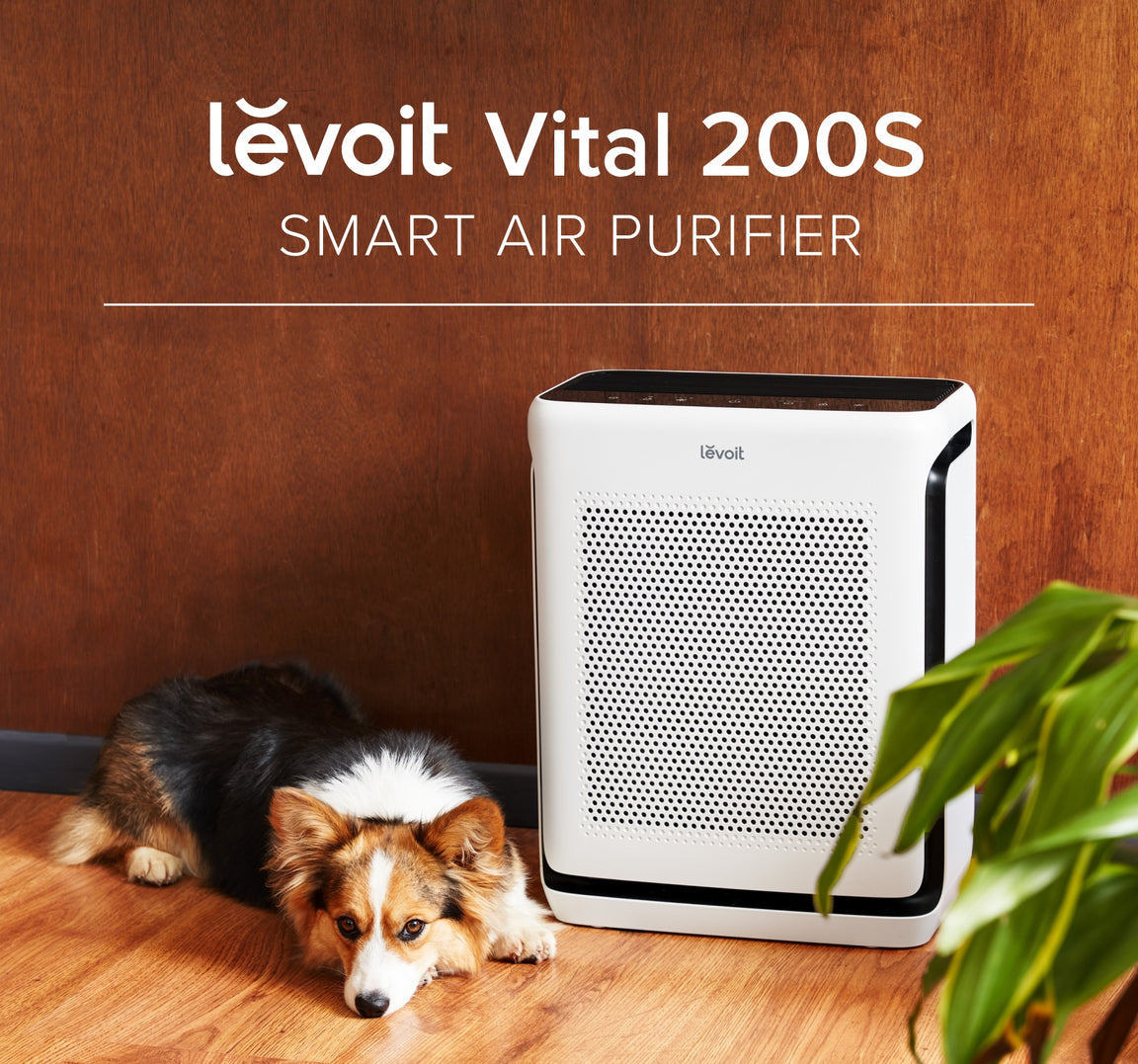LEVOIT Vital 100S Smart True HEPA Air Purifier